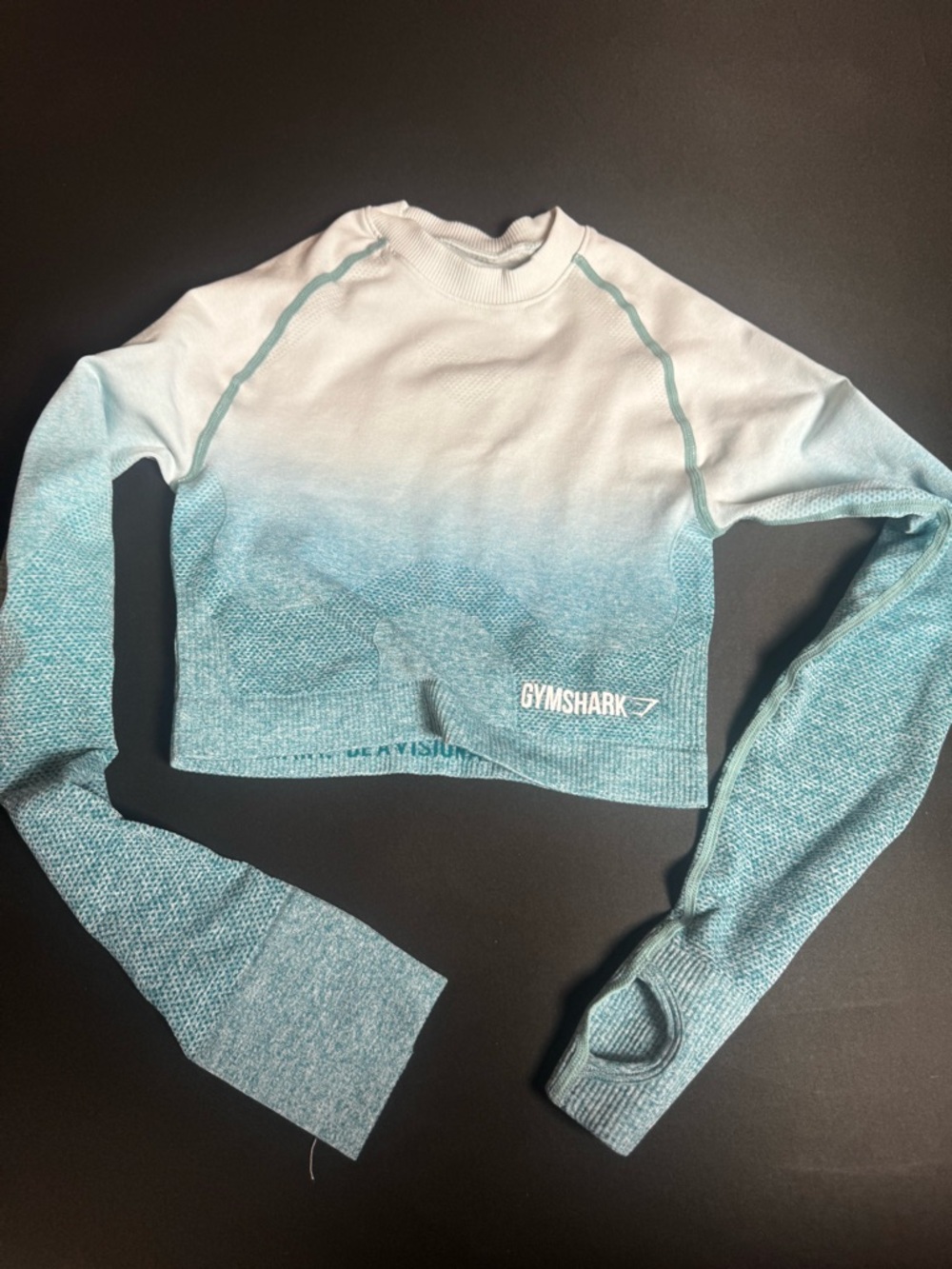 Gymshark Ombre Seamless Long Sleeve Crop Top Teal White Gradient Thumbholes XS
